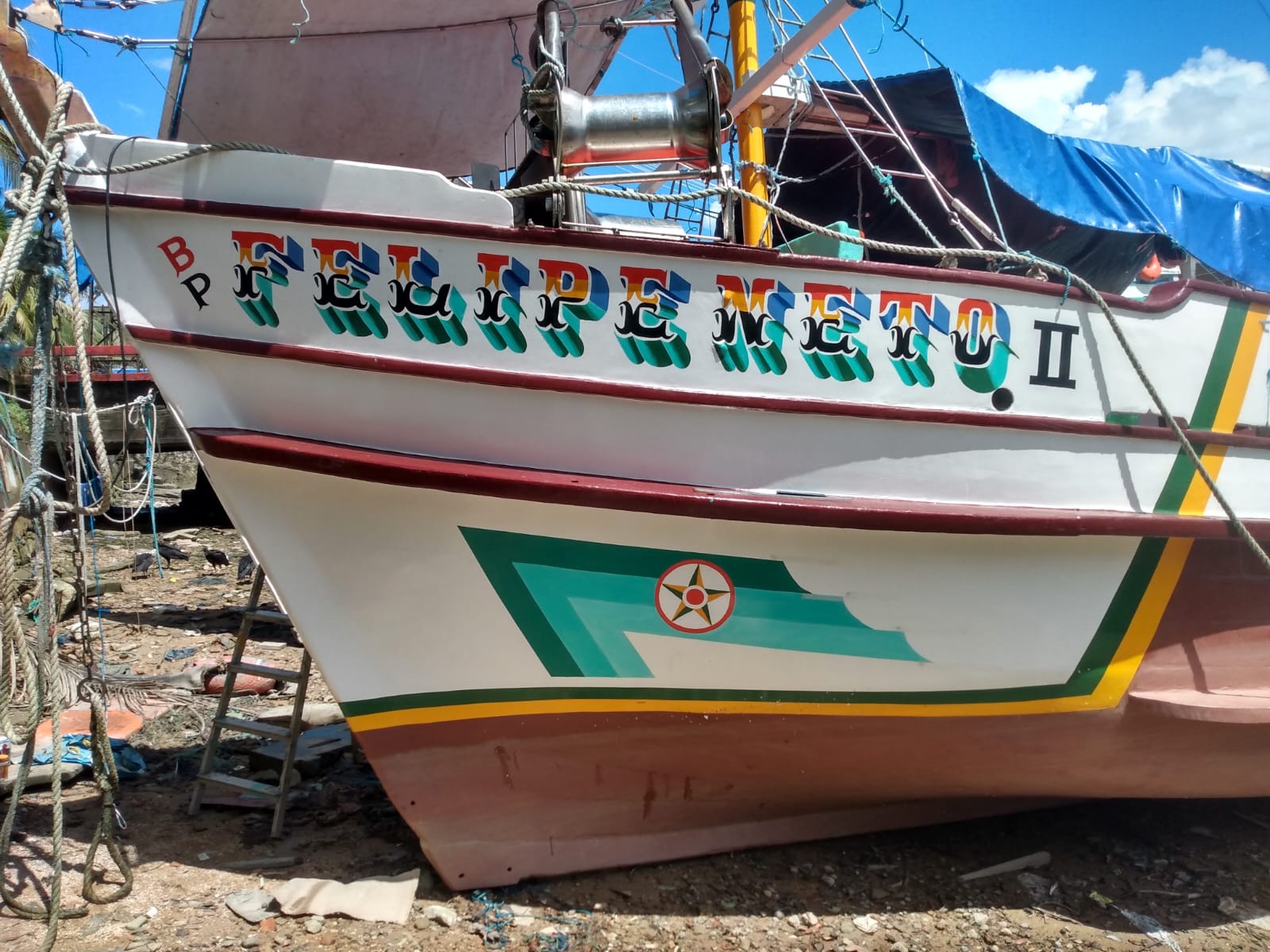 Trabalho de Barata 3