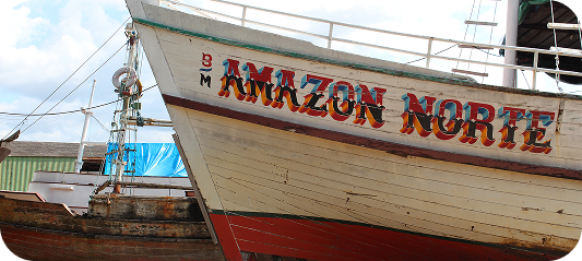 Barco Amazon Norte