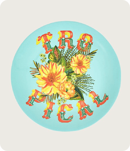 Projetos Especiais 8