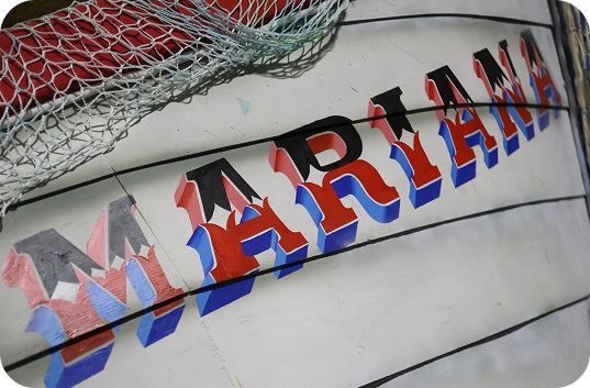 Projetos Especiais Mariana