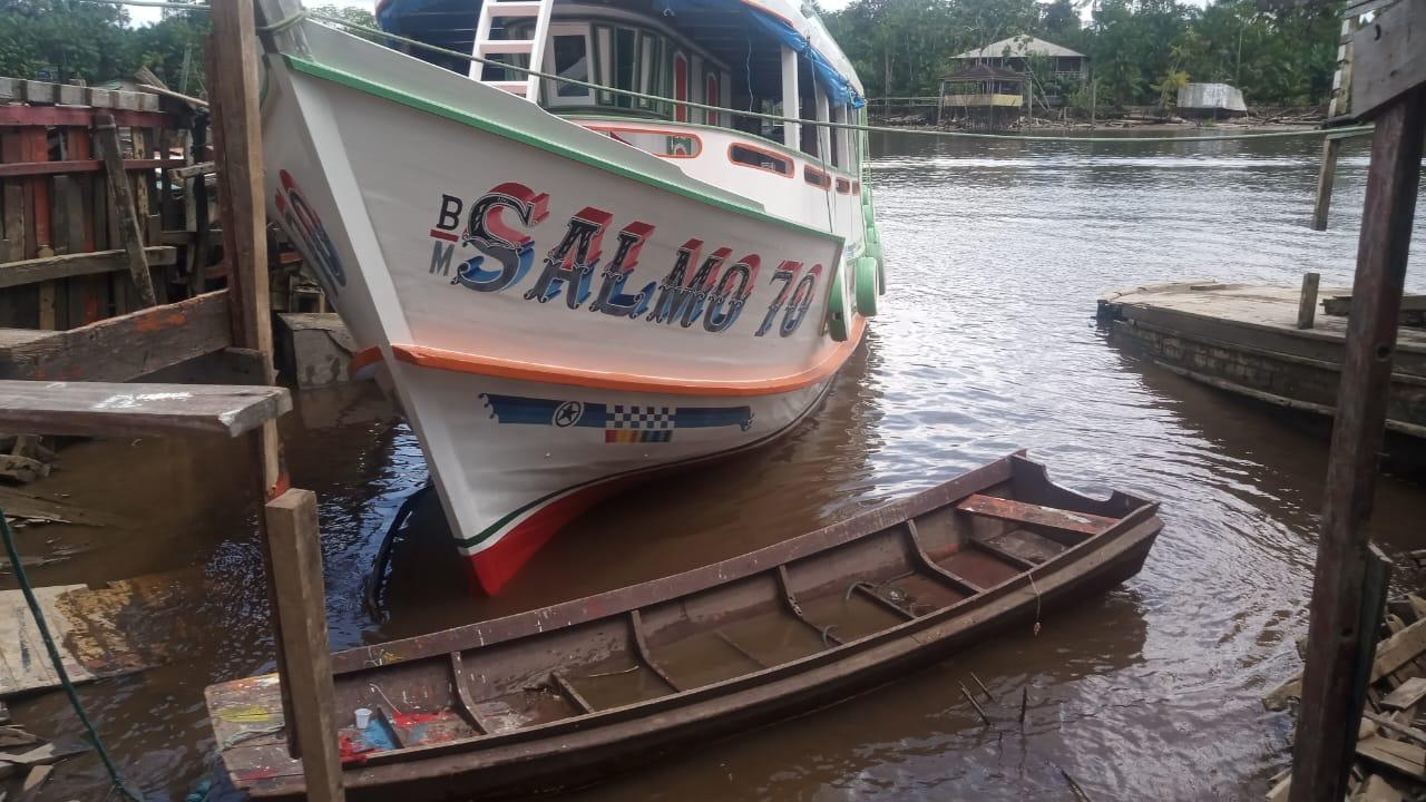 Trabalho de João Meires 1